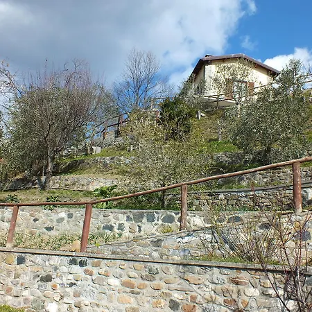 Il Poggio Degli Olivi