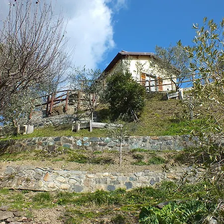 Il Poggio Degli Olivi Serò