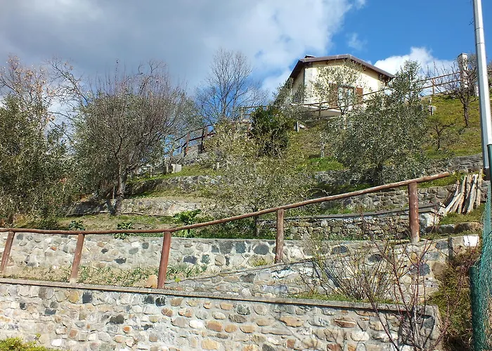 Il Poggio Degli Olivi