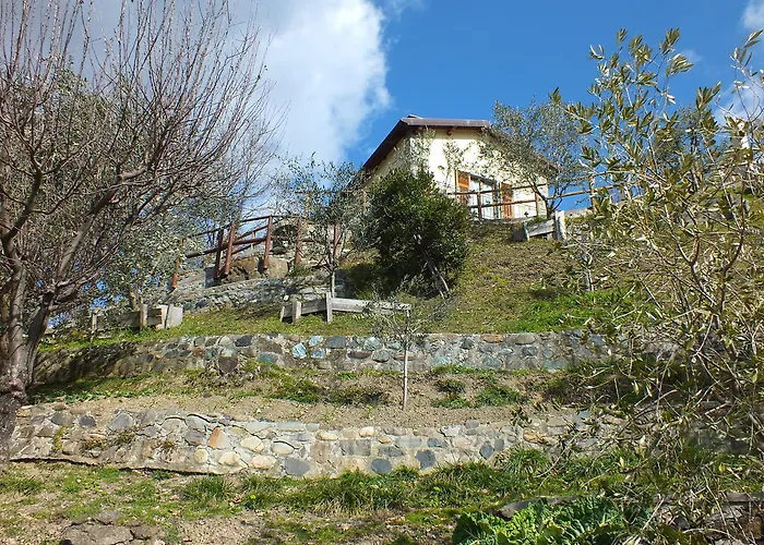 Il Poggio Degli Olivi Serò