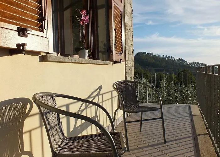 Il Poggio Degli Olivi *